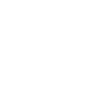 Jaguar Radio Code